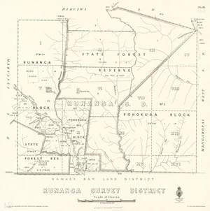 Runanga Survey District [electronic resource] / E.T. Healy, delt.