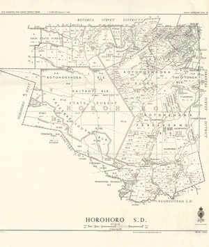 Horohoro S.D. [electronic resource] / E.T. Healy, delt. ; drawn ... by the Lands & Survey Dept., N.Z.