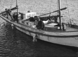 Men fishing from the boat Liberta, Island Bay