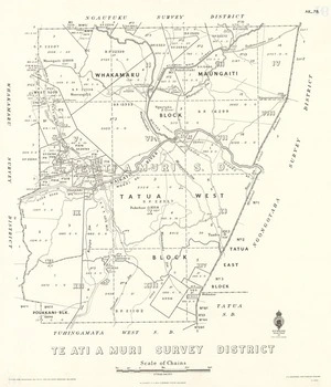 Te Ati a Muri Survey District [electronic resource] / E.T. Healy, delt. 1937.