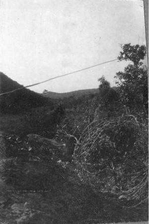 Barbed wire in front of a trench, Gallipoli, Turkey