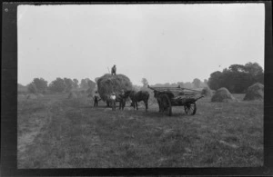 Unidentified men, working on hayfield, including horses and hay carts, Buckinghamshire, England
