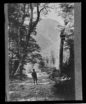 An unidentified man standing on a forest track with mountain beyond, location unidentified