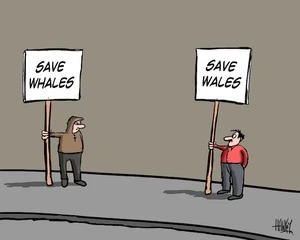 Save Whales. Save Wales. 25 June 2010