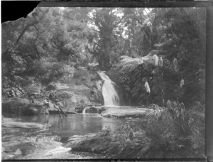 Waiatarua Falls, Waitakere Ranges, Auckland Region