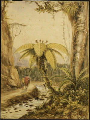 Barraud, Charles Decimus, 1822-1897 :Sketch of tree fern, rata &c. Valley of the Wainui-o-mata, Port Nicholson, New Zealand. 1856.