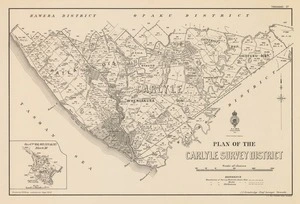 Plan of the Carlyle Survey District [electronic resource] / drawn by J.M. Kemp.