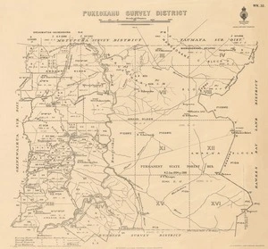 Pukeokahu Survey District [electronic resource].