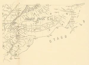 [Haast Pass S.D.] [electronic resource].