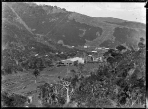 View over Piha Mill and mill houses from Parker's Creek.