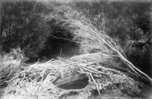 The Eagle's Nest, Wairakei - Photograph taken by George Dobson Valentine