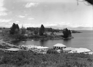 Taupo