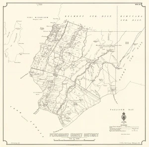 Pencarrow Survey District [electronic resource] / H. Armstrong, delt.