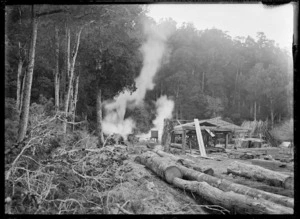 Unidentified timber mill in the bush