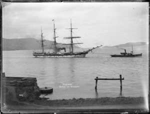Sailing ship 'Pleione' being towed to Dunedin.