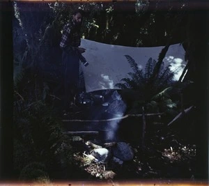 An unidentified man standing next to a tent, with cooking equipment, in native forest, location unidentified