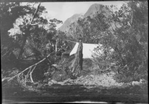 An unidentified man at an alpine campsite among scrubby trees, mountain beyond, [Canterbury Region or Southland District?]