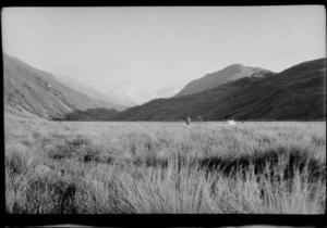 Tussock-covered alpine flats surrounded by mountains, with tent in distance, and unidentified figure, [Canterbury Region or Southland District?]