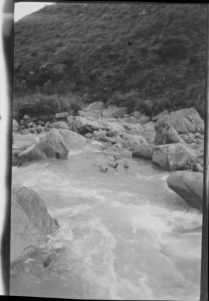 Ducks in an alpine river, [Canterbury Region or Southland District?]