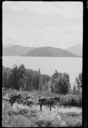 Two horses, including one pulling a gig on a road, [Lake Te Anau], Southland Region