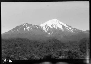 Mount Taranaki, Taupo District