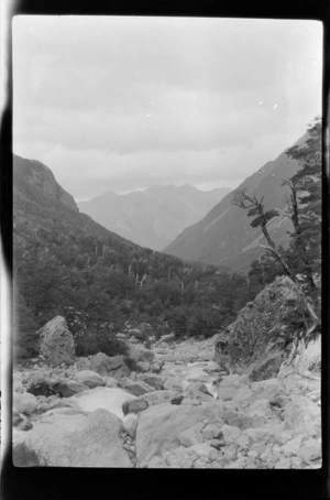Stream and mountain slopes covered in native forest, Crow Valley, Arthur's Pass National Park, Canterbury Region