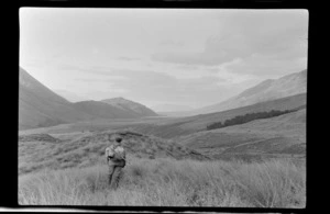 An unidentified man walking in tussock, on foothills, near Lyell Glacier, Southern Alps, Canterbury Region