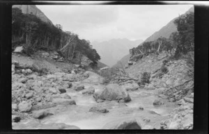 Mountain stream, containing uprooted trees and large boulders, eroded forested banks alongside, Crow Valley, Arthur's Pass National Park, Canterbury Region