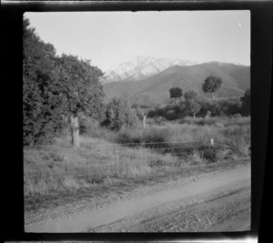 Road running next to a fenceline, with snow-capped mountain in distance, Peel Forest, Timaru District