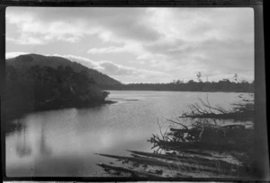 River, [Pounawea?] Catlins District, Otago Region