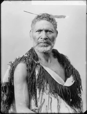 Maori chief Tamarere - Photograph taken by William Henry Thomas Partington