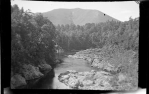 River in native forest, mountain beyond, location unidentified