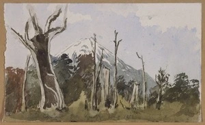 [Lysaght, Sophia Augusta] 1862?-1945 :Mt Egmont, about 1880