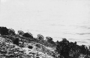 Mule carts, Anzac Cove, Gallipoli