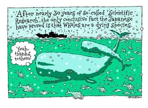 Hodgson, Trace, 1958- :After nearly 30 years of so-called 'Scientific Research', the only conclusive fact the Japanese have proved is that whales are a dying species. 30 June 2013