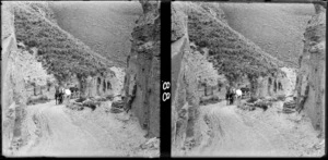 Horse and trap with unidentified passengers on a gravel road surrounded by steep tussock covered hills, Skippers Canyon, Central Otago