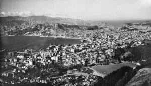 Overlooking Wellington city from Tinakori Hill - Photograph taken by John Dobree Pascoe