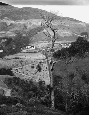 Otari Native Plant Museum, Wilton, Wellington