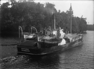 Steamboat Kotare
