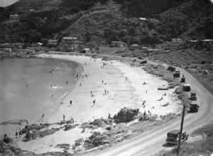 Overlooking the beach at Scorching Bay, Wellington
