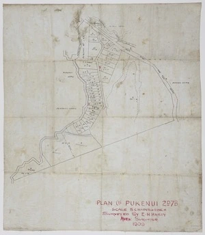 Hardy, Edwin Henry, fl 1876-1909 :Plan of Pukenui 2D7B [ms map]. Surveyed by E. H. Hardy, auth. surveyor, 1909
