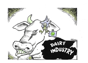 Hubbard, James, 1949- :Dairy industry. 9 August 2013