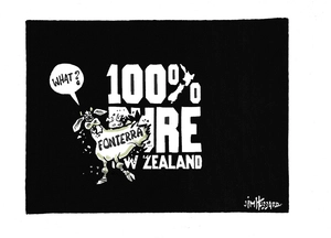 Hubbard, James, 1949- :100% pure New Zealand. 8 August 2013
