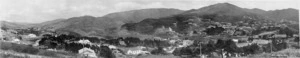 Ngaio N.Z., 1924