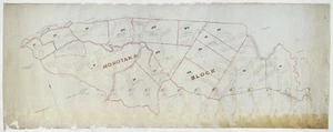 [Creator unknown] :Hohotaka Block, [Ruapehu District] [ms map]. [n.d.]