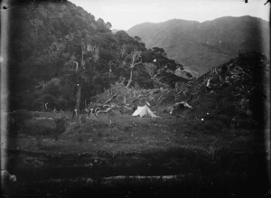 Scene at Terawhiti, with campsite