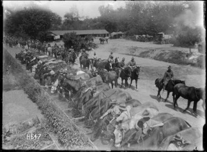 New Zealand horses and troops at a watering point in Louvencourt, France, during World War I
