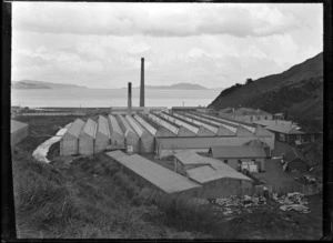 The Wellington Woollen Manufacturing Company factory in Petone