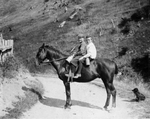Boys riding a horse in Wilton's Bush, Wellington