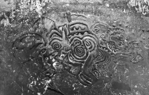 Maori rock carvings in a cave at Waverley